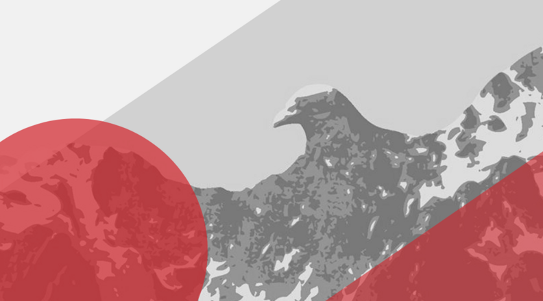 Im Land der Adler Im Land der Adler