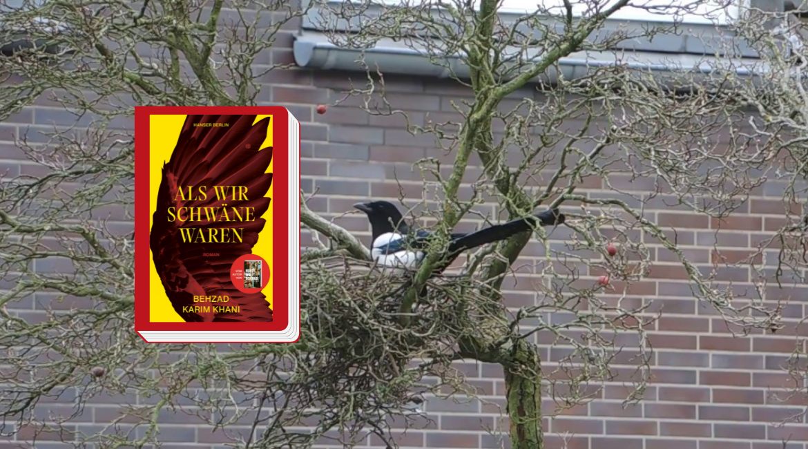 Das Cover des Buches „Als wir Schwäne waren“ von Behzad Karim Khani ist rot umrandet. Im Hintergrund ist das Foto eines Elster-Nestes auf einem kahlen Baum zu sehen.