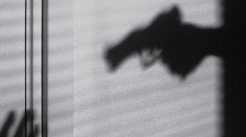 In den Schatten In den Schatten