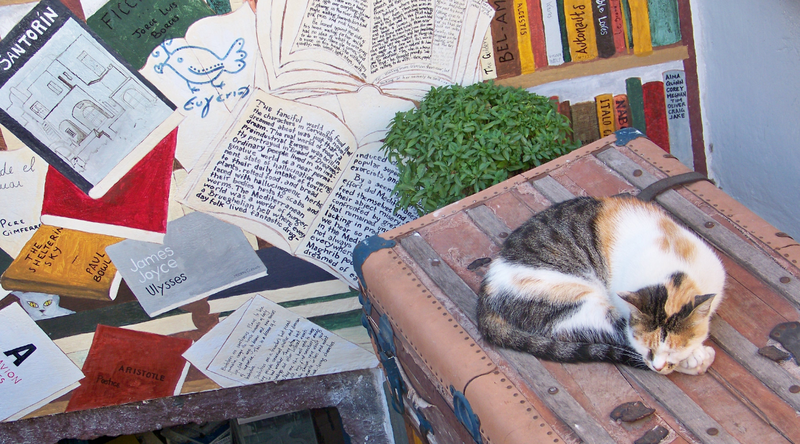 Empfiehl mir ein Buch!