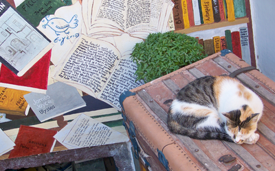 Auf dem Foto ist eine schlafende Katze auf einer Bank zu sehen. Im Hintergrund ist ein Wandgemälde mit Buchmotiven zu sehen. Die Atmosphäre ist sommerlich und entspannt.