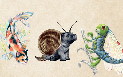 Auf dem Bild sind drei von Eleonora Pace gezeichnete fantastische Tiere zu sehen: eine Katze-Karpfen, ein Nilpferd-Schnecke und ein Kaninchen-Libelle.