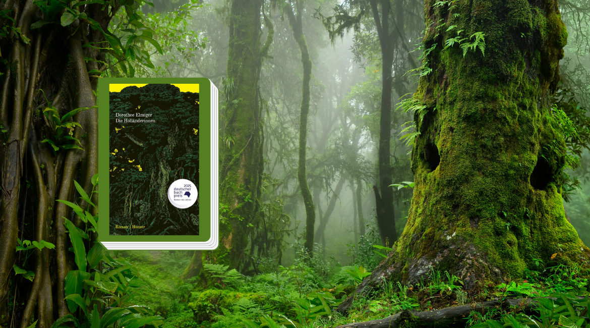  Das Cover des Buches Die Holländerinnen von Dorothee Elmiger ist grün umrandet und hebt sich vom Foto eines Regenwaldes ab.