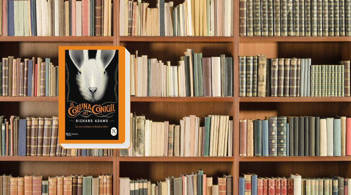 Das Cover des Buches „La collina dei conigli“ von Richard Adams ist orange umrandet und auf dem Bild eines mit Büchern gefüllten Regals zu sehen.