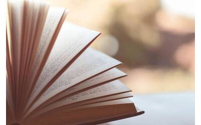 Bücher 2