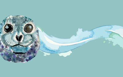 Auf dem Bild ist eine Illustration von Eleonora Pace zu sehen, die eine Robbe darstellt. Der Hintergrund ist hellblau und zeigt Meereswellen.