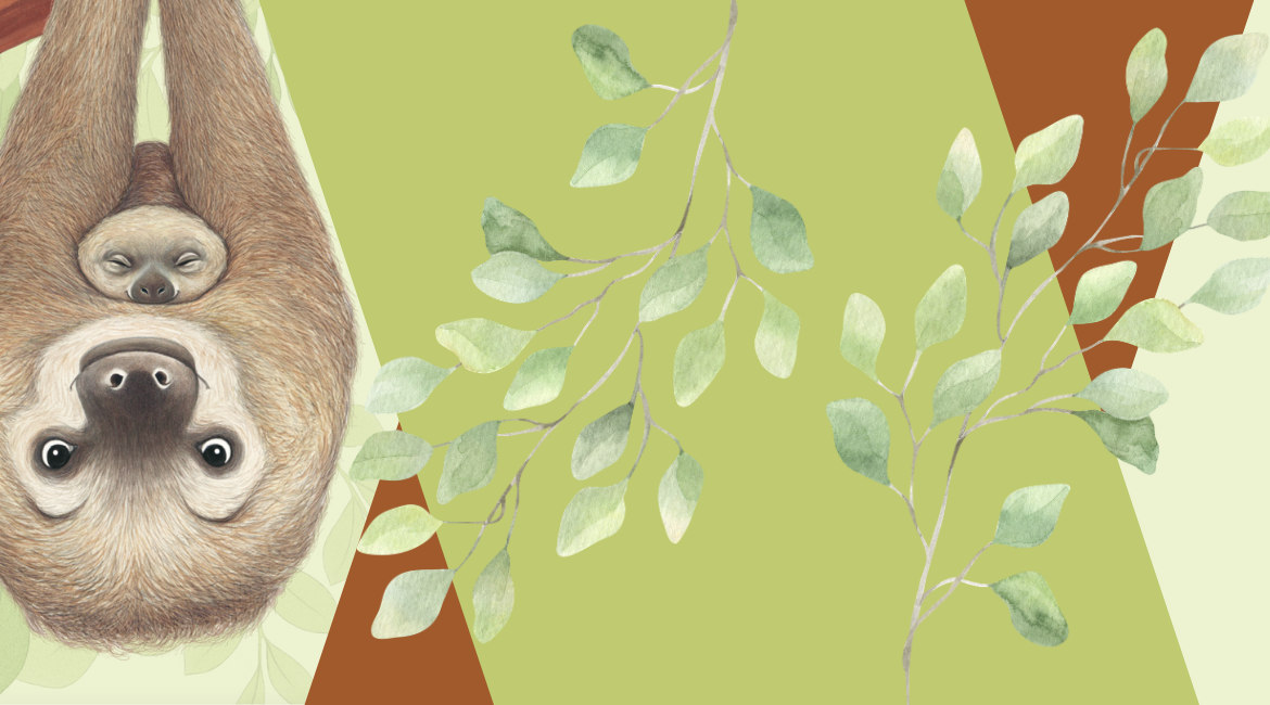 Auf dem Bild ist eine Illustration von Eleonora Pace zu sehen, die ein Faultier mit seinem Jungen darstellt. Der Hintergrund ist grün und braun und mit geometrischen Figuren und Pflanzenmotiven verziert.