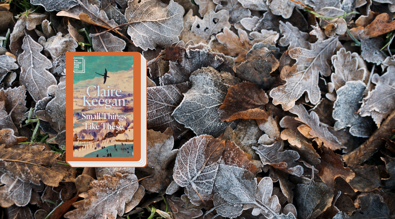 What happens next? Reading group in English